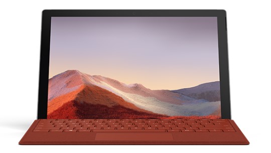 金牛清洁和维护 Surface